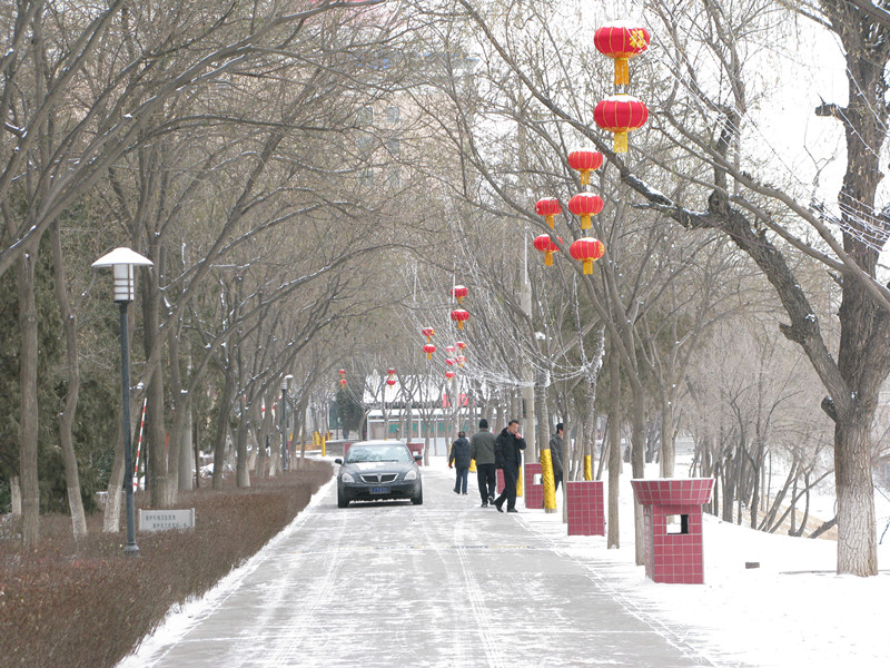 终于下雪啦 摄影 陇上汉