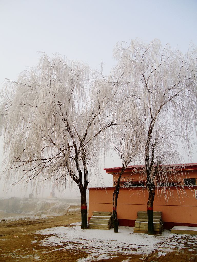 北方之冬 摄影 李建都