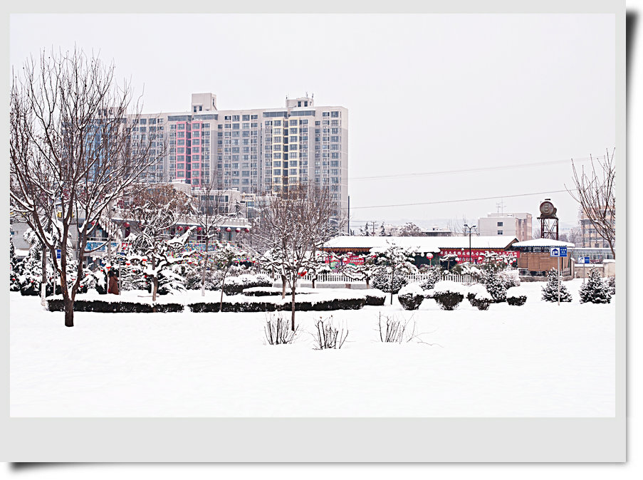 瑞雪兆丰年 摄影 温暖记忆