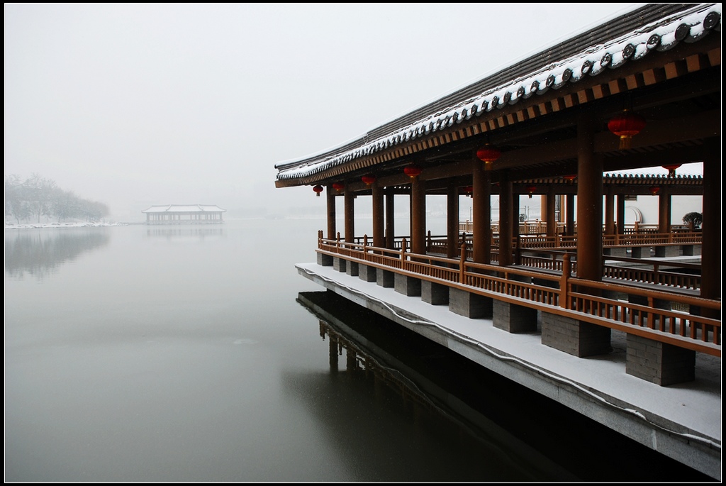 曲江雪 摄影 阳光灿烂中