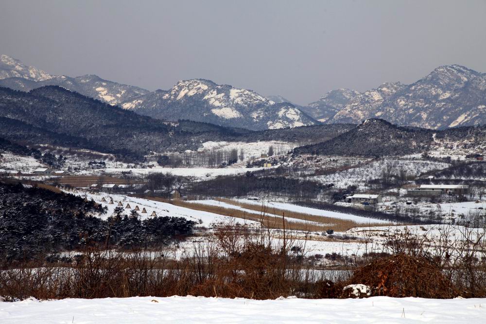 大年初一《雪》 摄影 杨老根