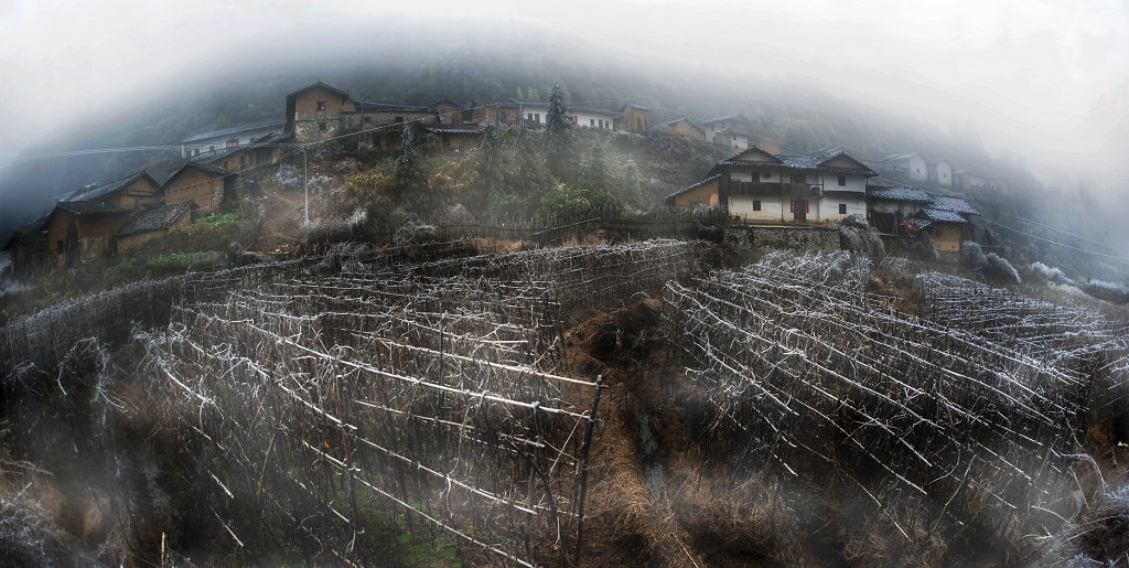 雾漫小山村 摄影 钝夫