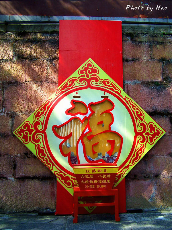 福福福福福福 摄影 郝一丁