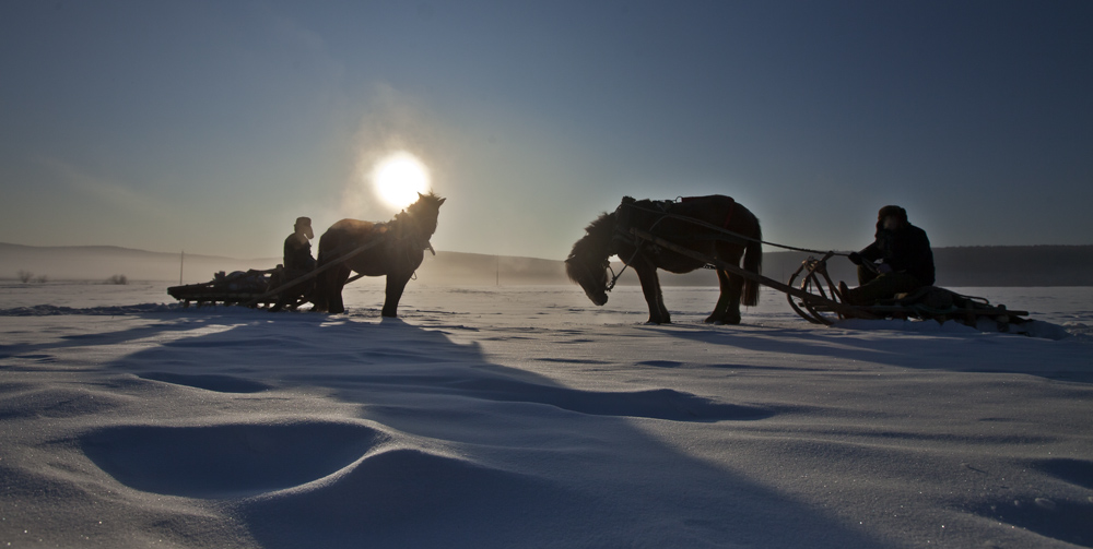 雪地相约 摄影 阳朔大师傅