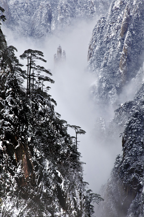 黄山雪 摄影 qjq