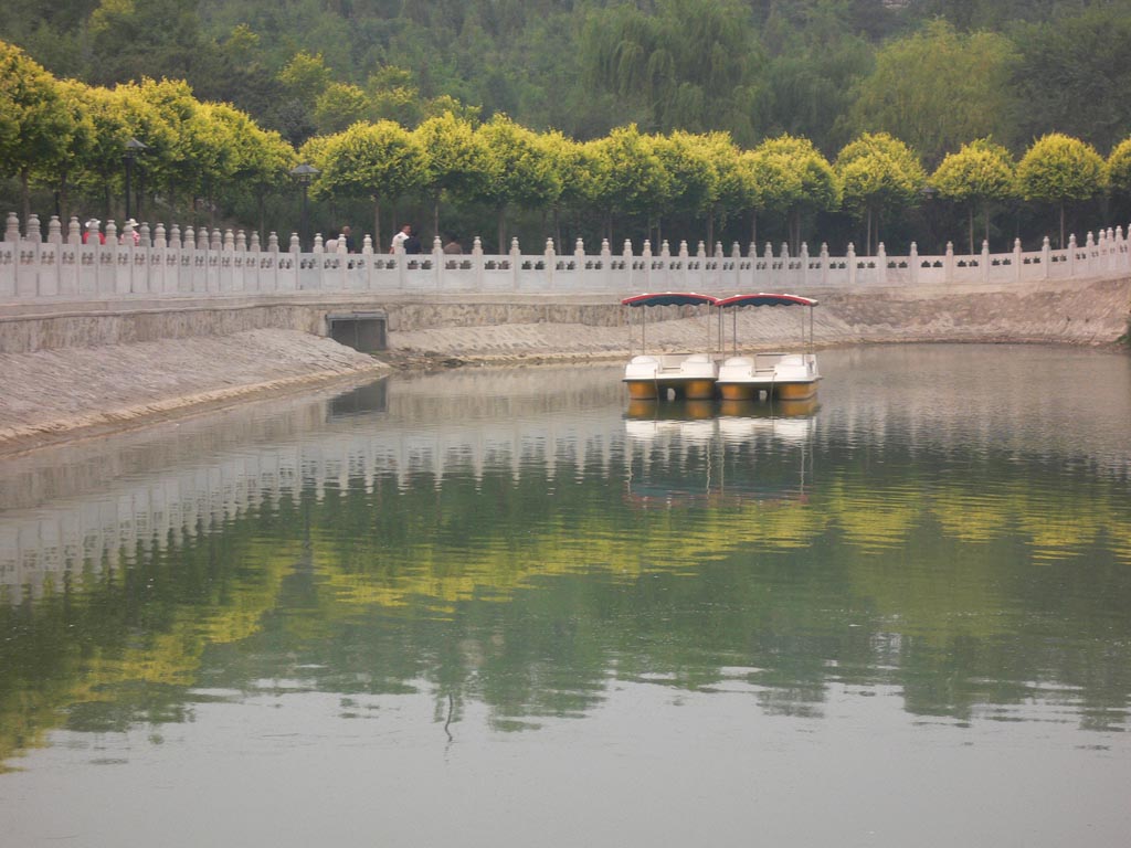 一对 摄影 云中雾