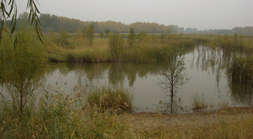 野鸭湖湿地 摄影 云中雾