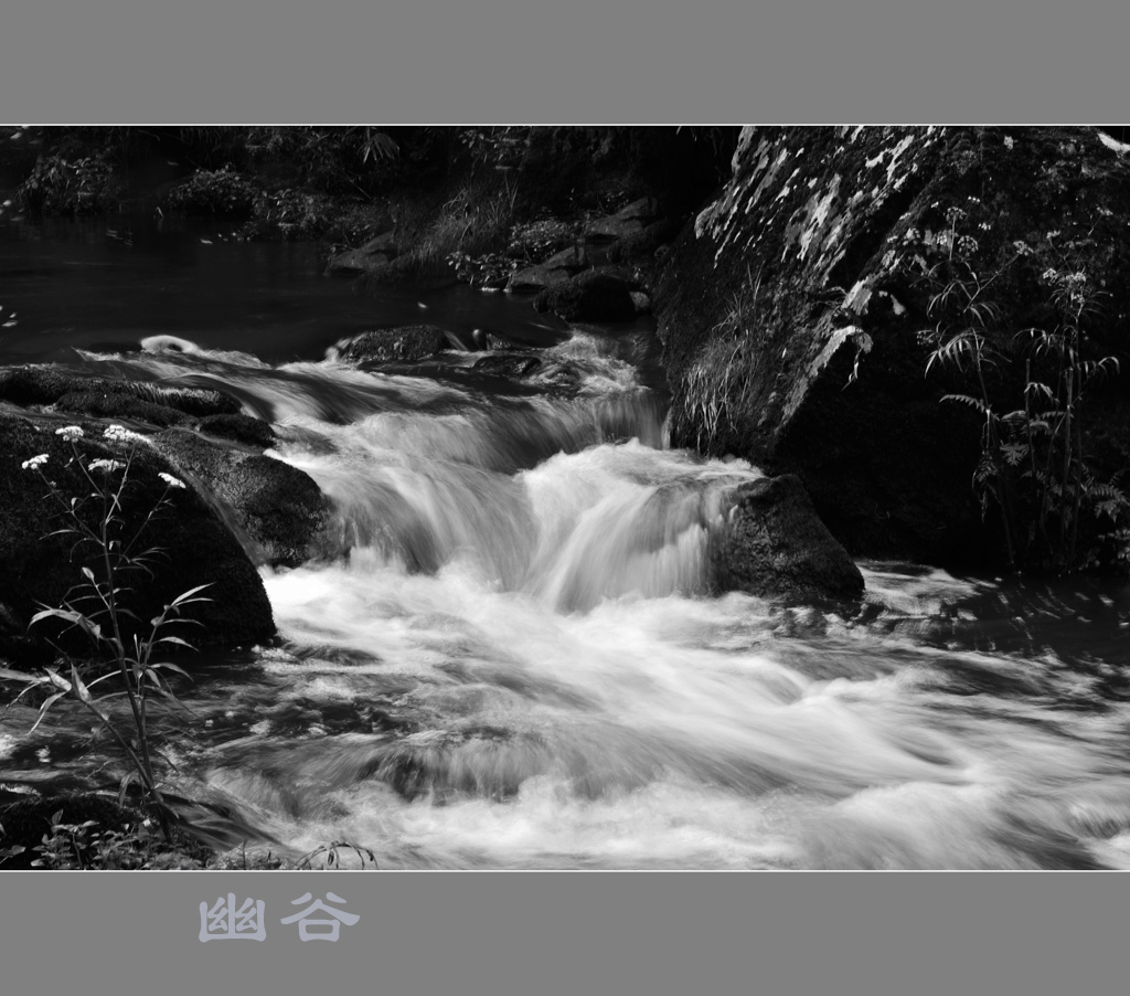 幽谷 摄影 雨中的承诺