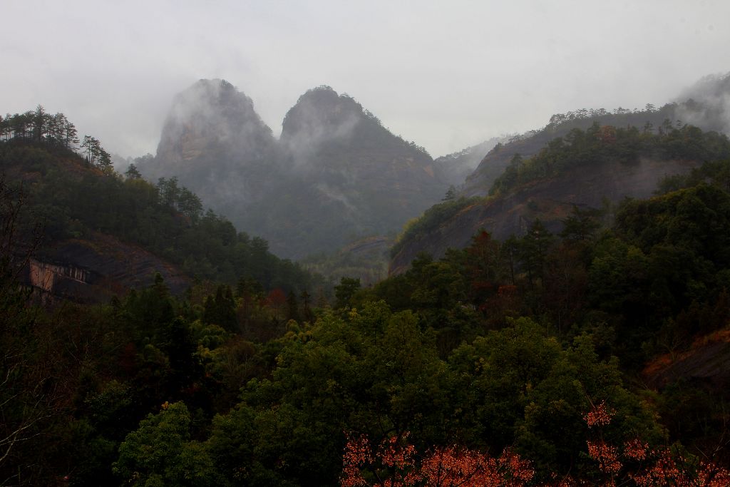 雨露双乳 摄影 郑大山人