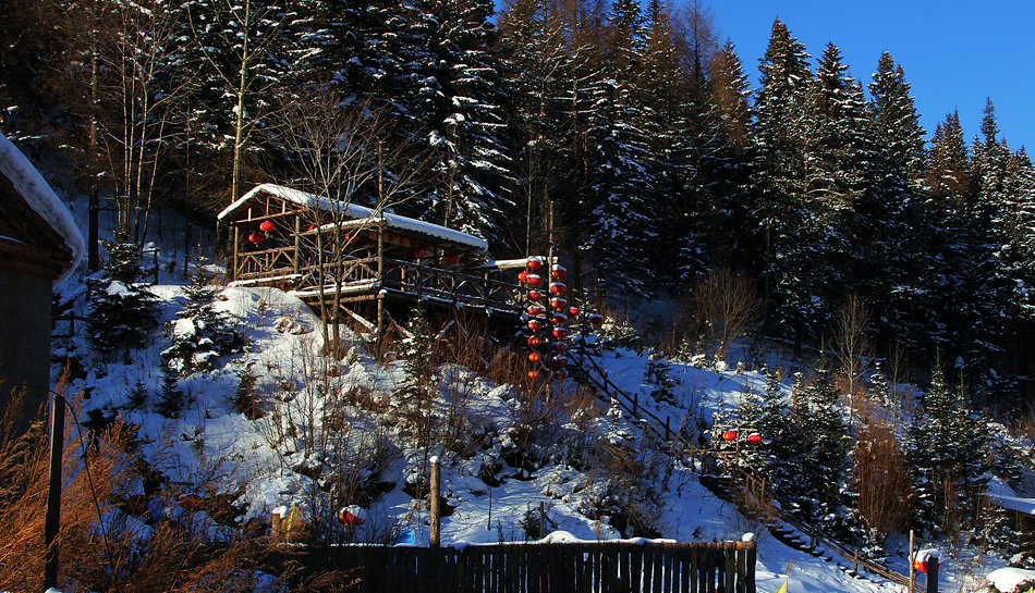 雪乡观景台 摄影 食草马