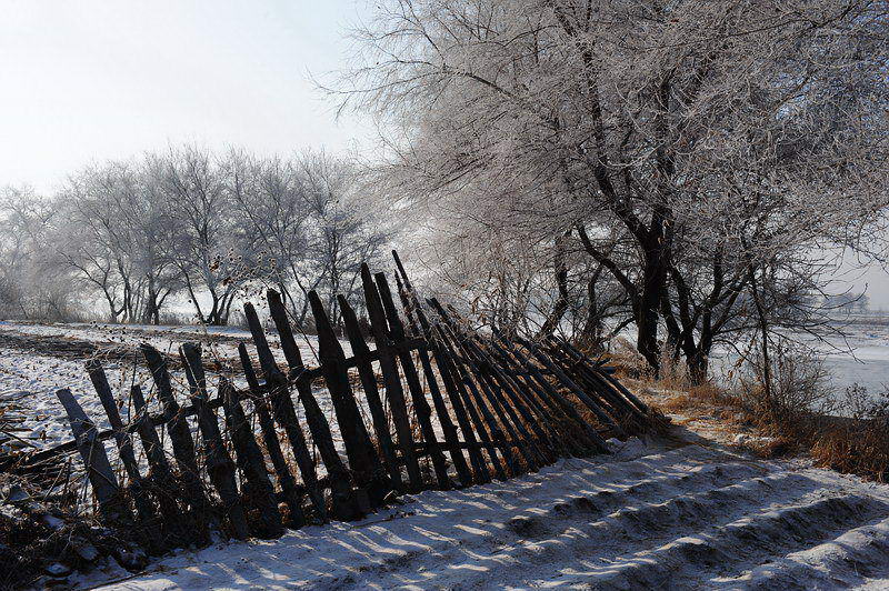 吉林，冰雪雾凇岛（3） 摄影 laokai