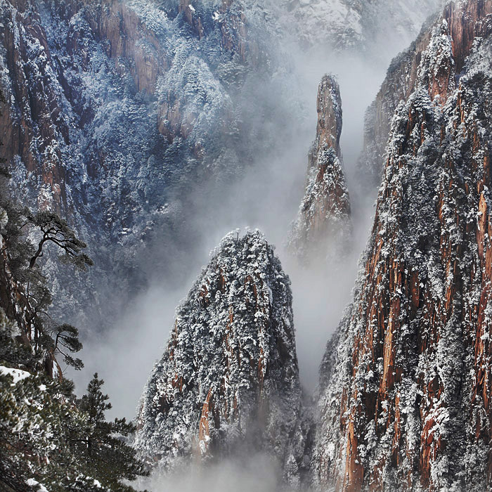 黄山雪 摄影 qjq