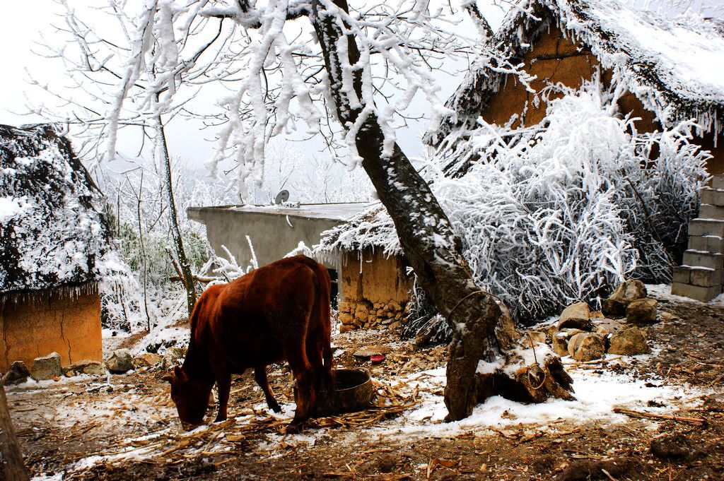 山村冬雪8 摄影 关河纤夫