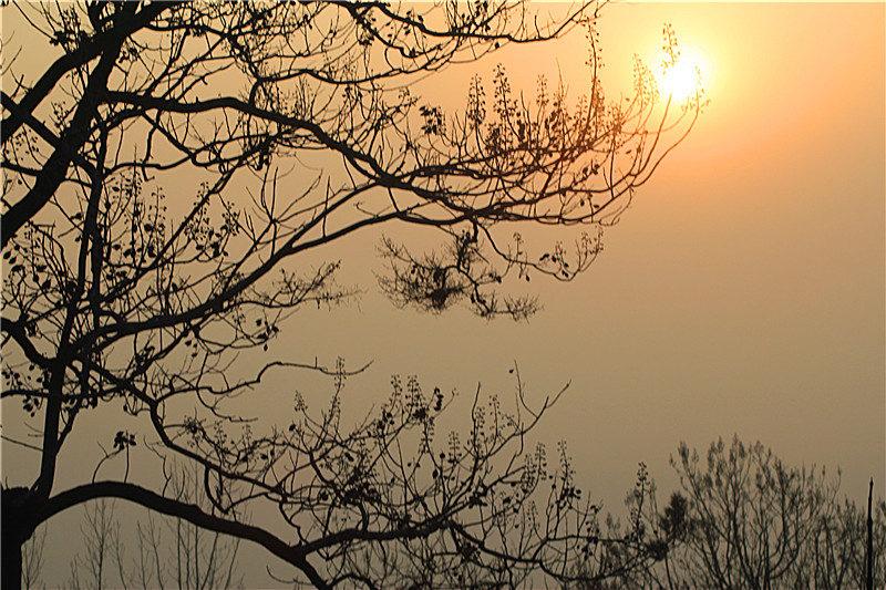 乡村的夕阳 摄影 我想当艺术家