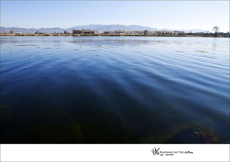 洱海湿地2 摄影 哈哈哈