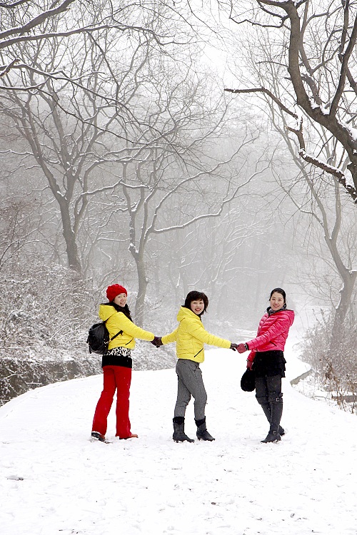 雪中行 摄影 xibeilin