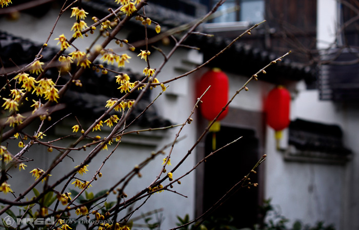 香浮庭院~~~ 摄影 大老六