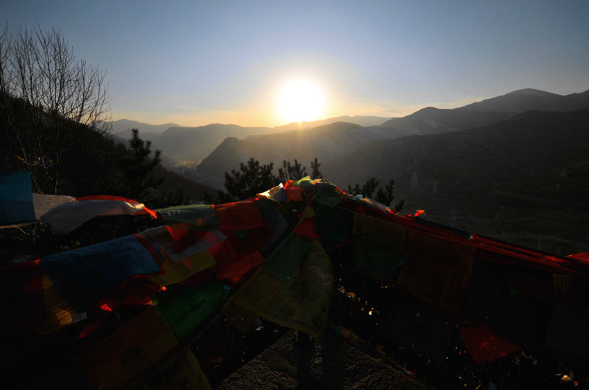 祈祷 摄影 寒山枯叶