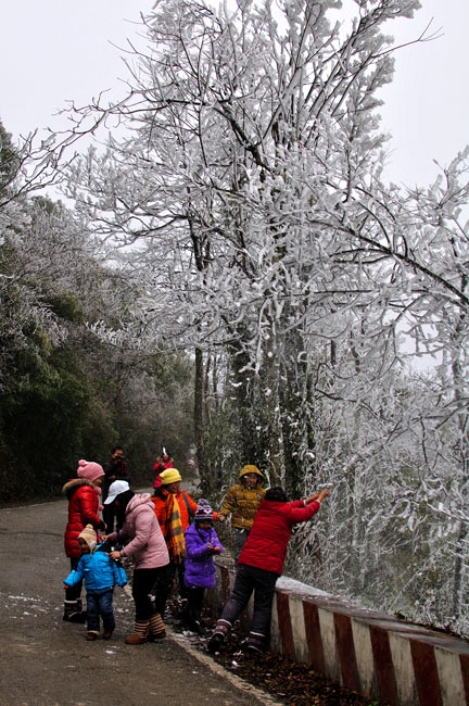 摇雪 摄影 浣晴