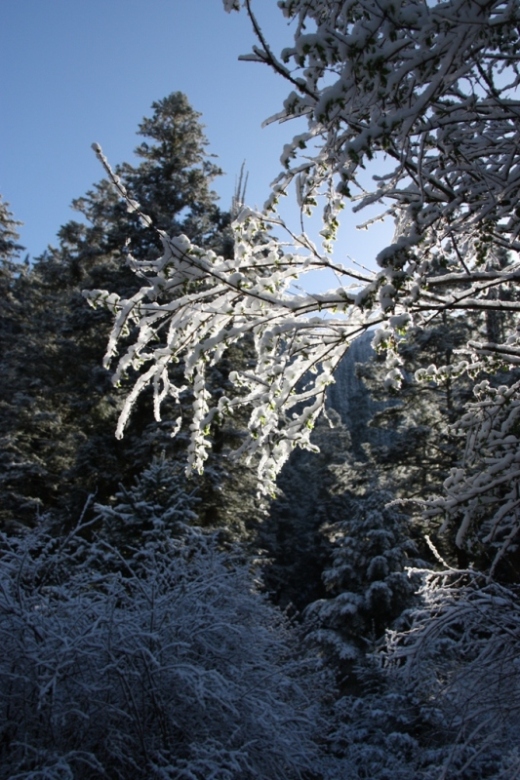 亮晶晶 摄影 大雪1207