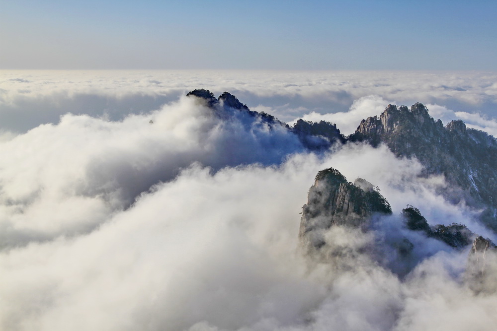 我看黄山1 摄影 老槐树