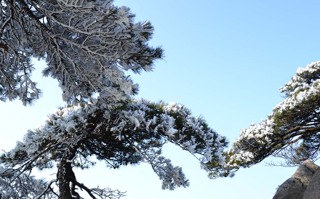 雪后初霁 摄影 陋石