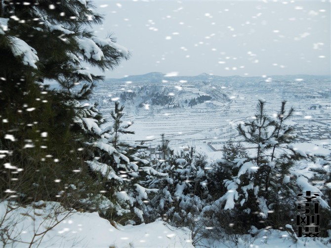 关中雪景 摄影 李引刚