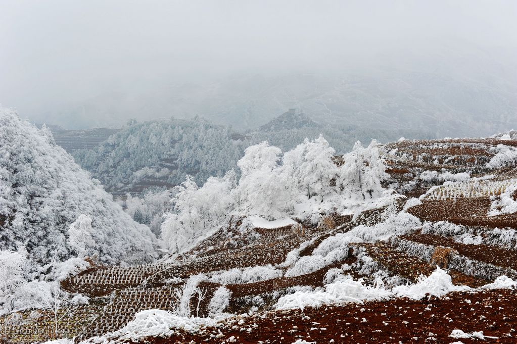 雪地行走（十一） 摄影 九黎后裔