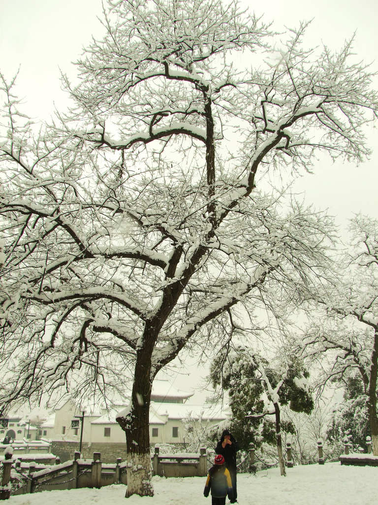 江南雪 摄影 天容海色