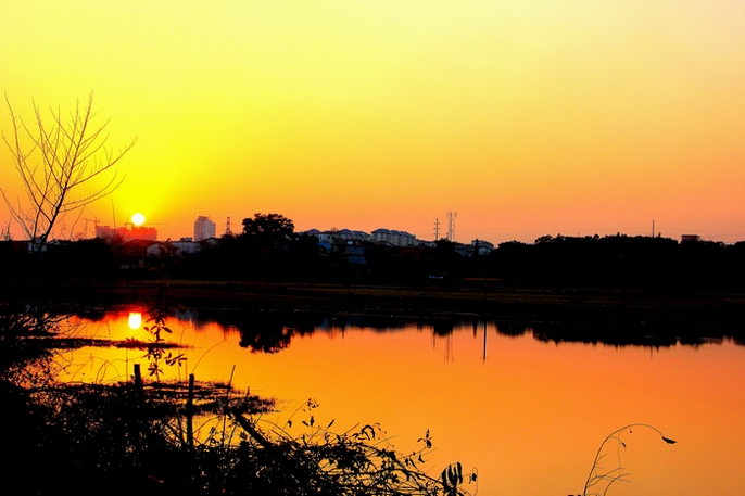 夕阳红 摄影 卡特兰