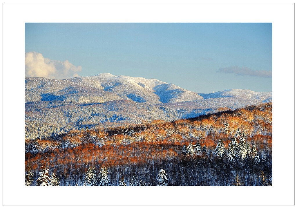 北海道冬景（2） 摄影 Carlylee