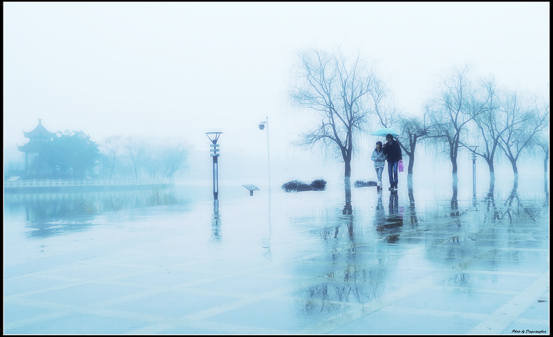 雨中情 摄影 旅之梦