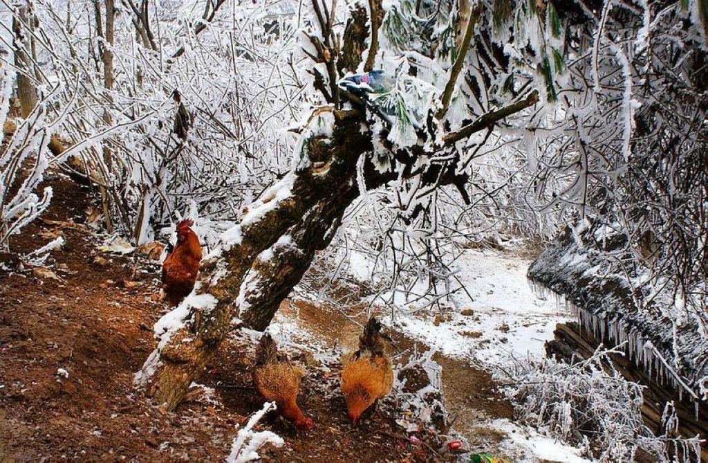 山村冬雪20 摄影 关河纤夫