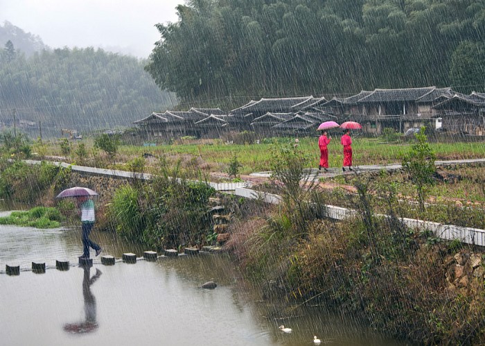 《丝丝冬雨山乡秀》 摄影 秋风秋雨