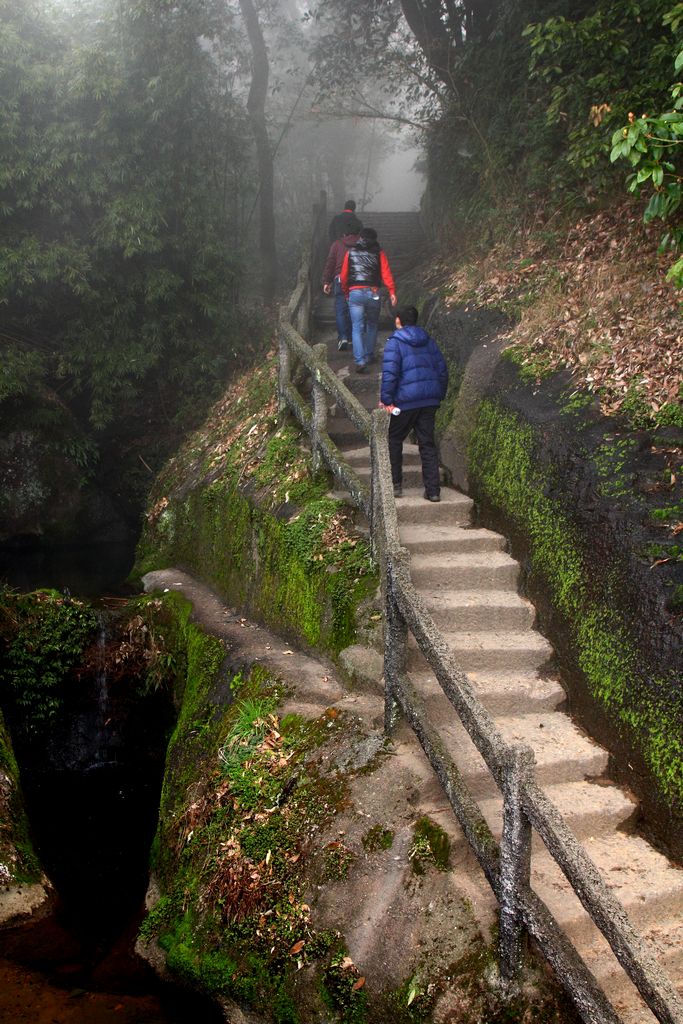 天游踏雾 摄影 郑大山人