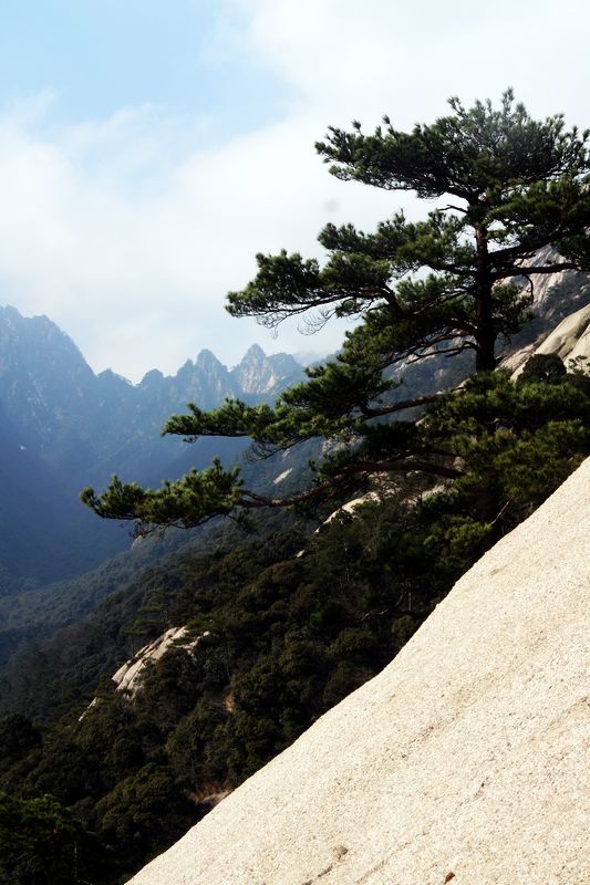 黄山石门峡 摄影 老咪