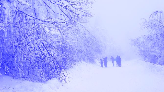 峨眉山雪景 摄影 灿烂晴天