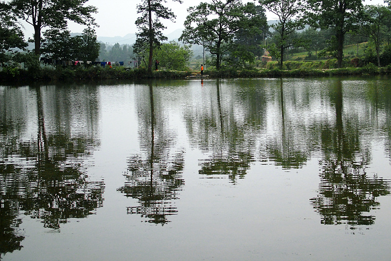 池塘边 摄影 流云青山