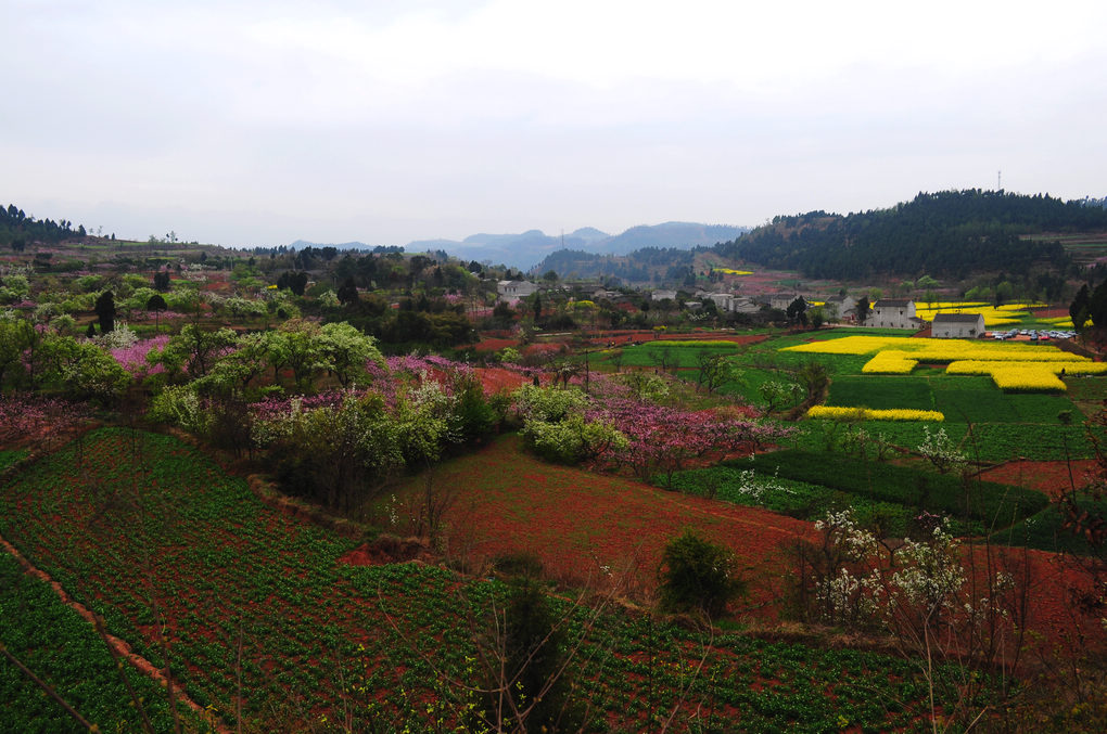 田园花园（3） 摄影 竹林後山人