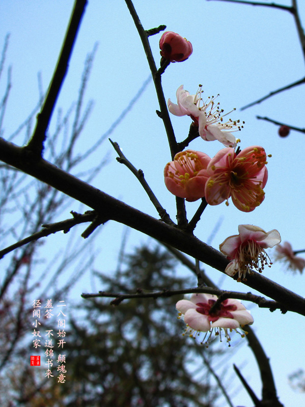 guiyuan 摄影 Swyouzhu