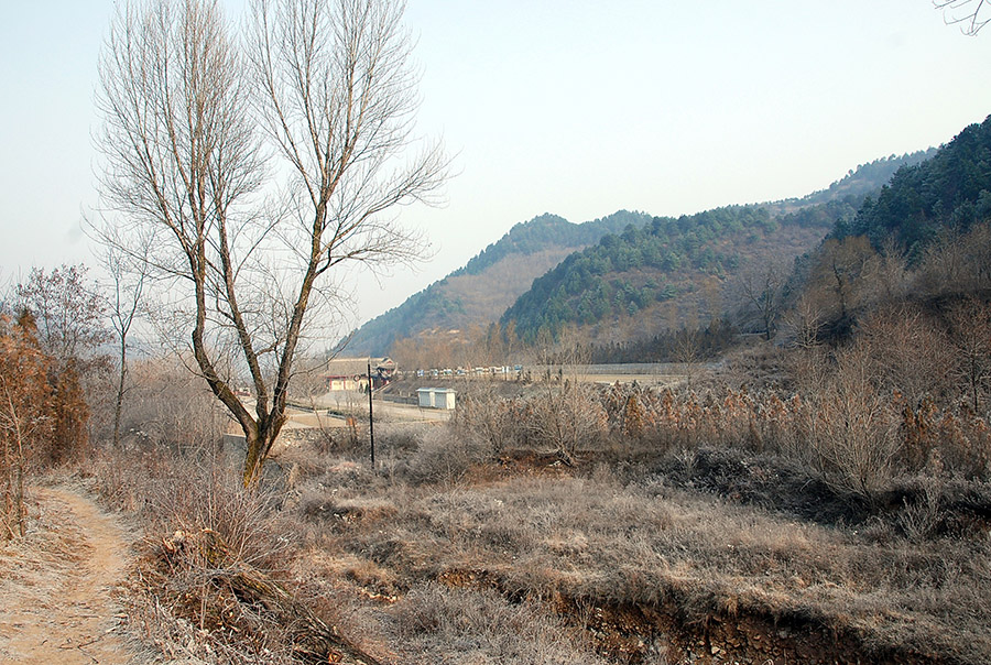 麦积山附近霜景2 摄影 译书人