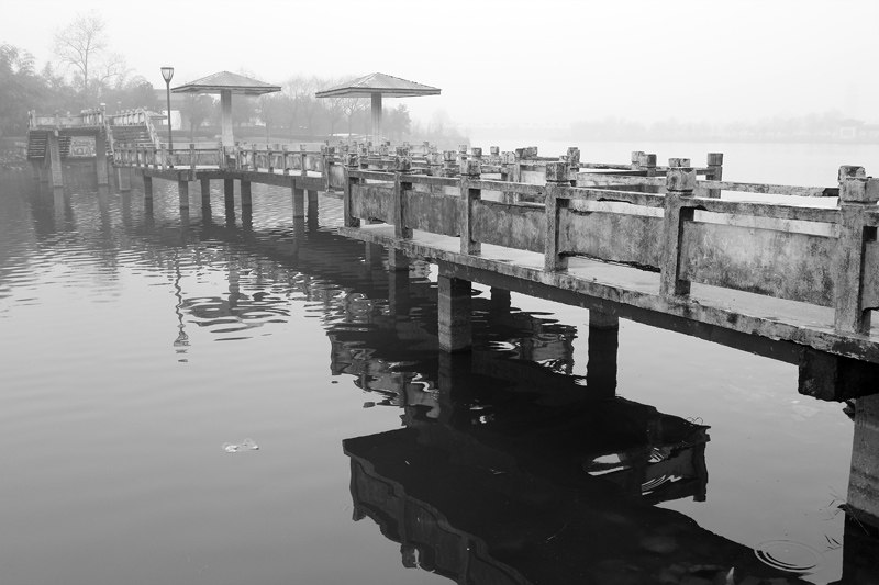 雨日  二 摄影 纤云磨墨