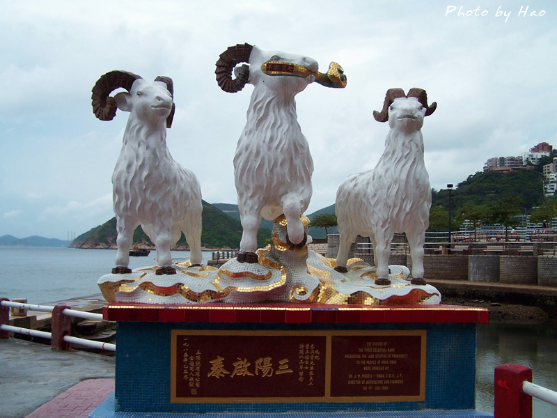 三羊启泰 摄影 郝一丁