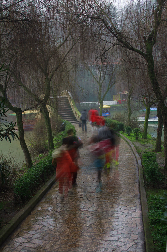 春雨 摄影 艾舍