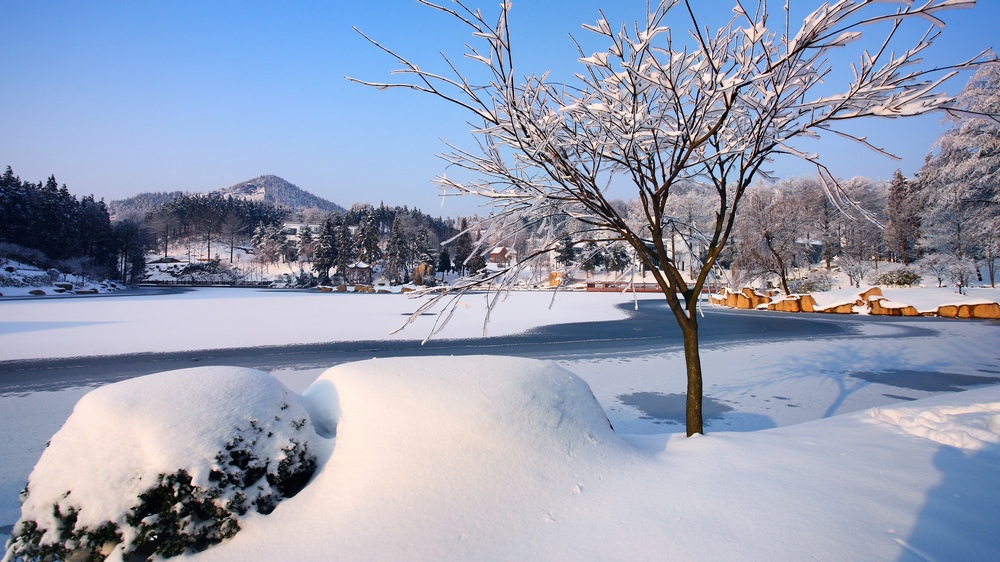 冰雪四明 摄影 江雪独钓