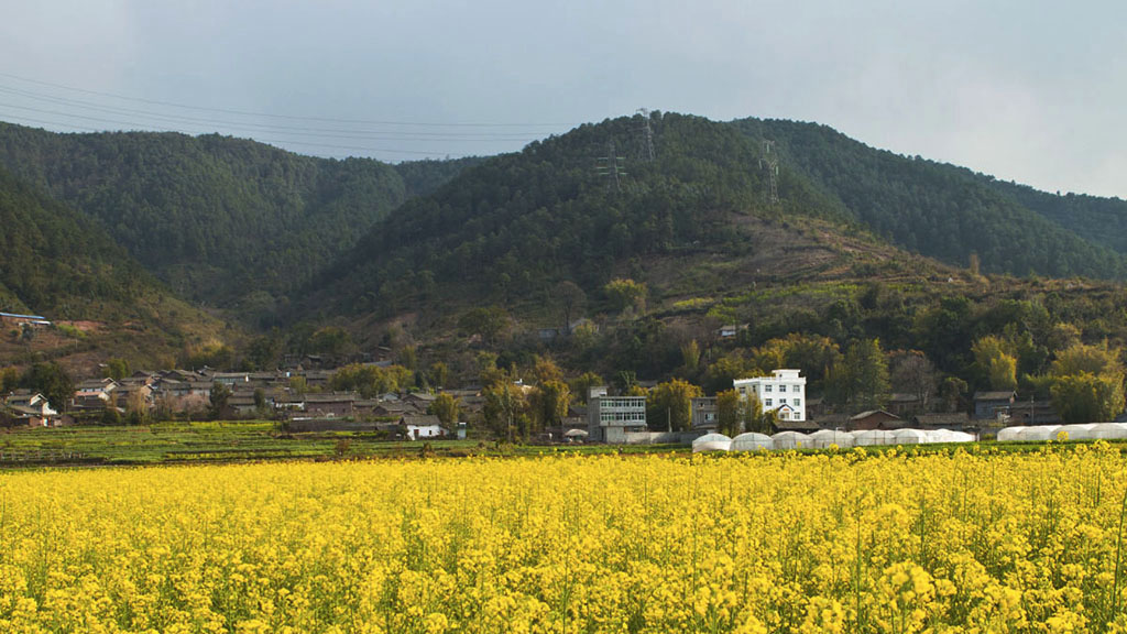 乡村春色 摄影 印记摄色