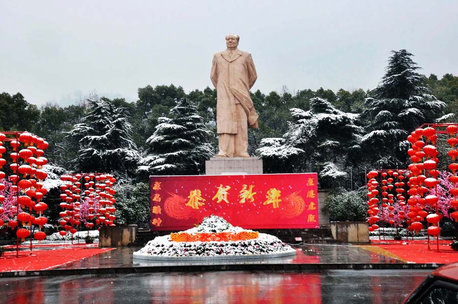 雪 里 红12 摄影 毛桂荣