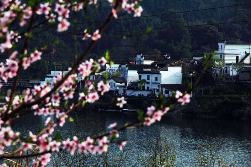 山庄2 摄影 香椿