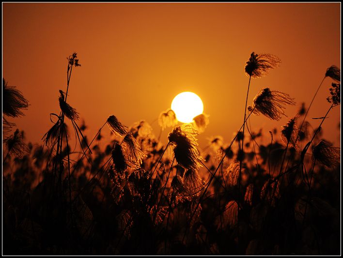 黄鹤观夕阳 摄影 宝山之光