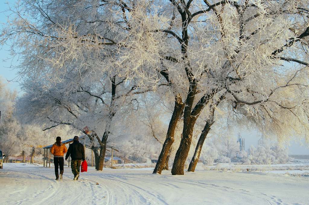 雪韵 摄影 万里秋风